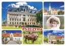Zdjęcie Pszczyna -  9131
